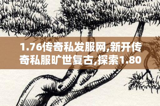 1.76传奇私发服网,新开传奇私服旷世复古,探索1.80合击传奇私服游戏世界