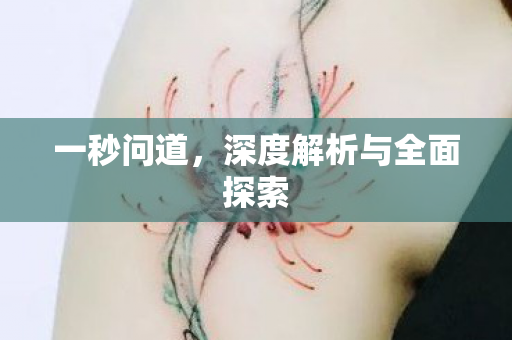 一秒问道，深度解析与全面探索