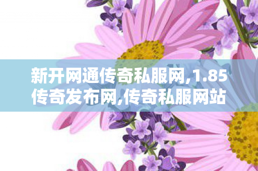 新开网通传奇私服网,1.85传奇发布网,传奇私服网站大全，全面解析与安全指引