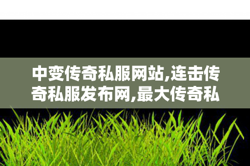 中变传奇私服网站,连击传奇私服发布网,最大传奇私服发布网，游戏私服的选择与1分析