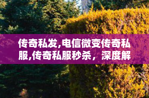 传奇私发,电信微变传奇私服,传奇私服秒杀，深度解析与全面指南