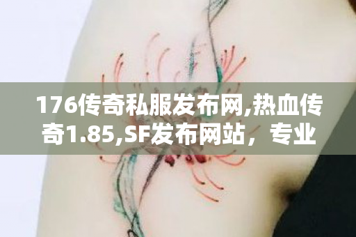 176传奇私服发布网,热血传奇1.85,SF发布网站，专业、安全、高效的软件下载平台