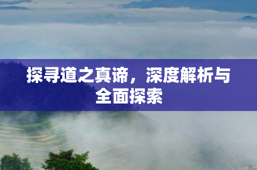 探寻道之真谛，深度解析与全面探索