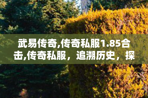 武易传奇,传奇私服1.85合击,传奇私服，追溯历史，探索魅力世界