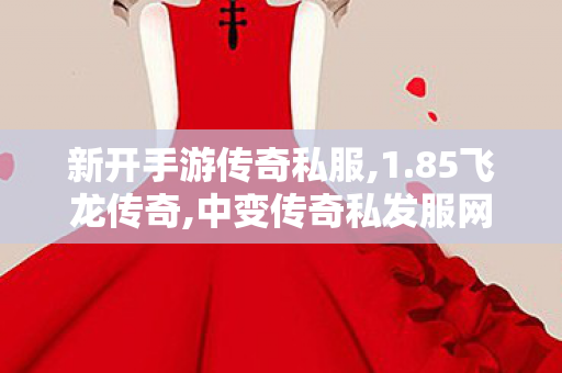 新开手游传奇私服,1.85飞龙传奇,中变传奇私发服网，游戏私服的1与1问题