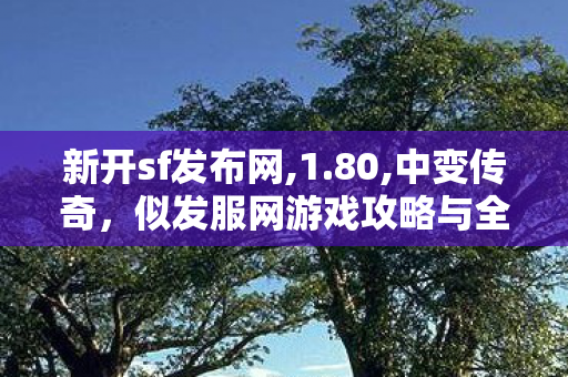 新开sf发布网,1.80,中变传奇，似发服网游戏攻略与全面解析