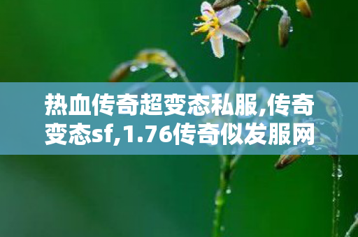 热血传奇超变态私服,传奇变态sf,1.76传奇似发服网，经典传奇游戏，重温热血征途