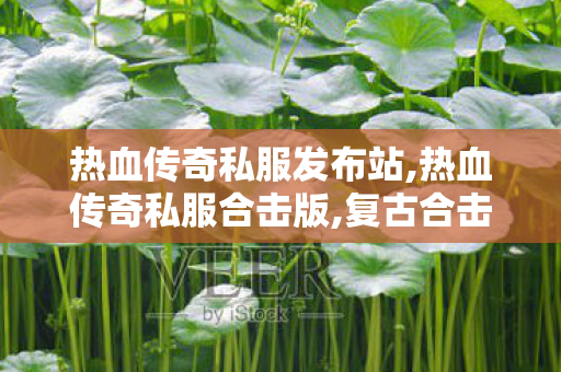热血传奇私服发布站,热血传奇私服合击版,复古合击传奇私服，经典重现，热血再燃