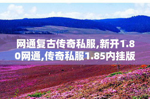 网通复古传奇私服,新开1.80网通,传奇私服1.85内挂版，游戏辅助工具的深度解析