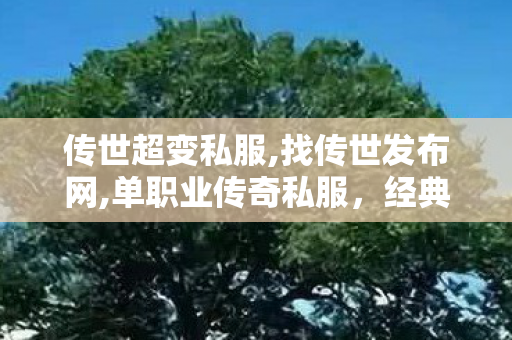 传世超变私服,找传世发布网,单职业传奇私服，经典再现，重温热血征途