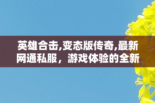 英雄合击,变态版传奇,最新网通私服，游戏体验的全新选择
