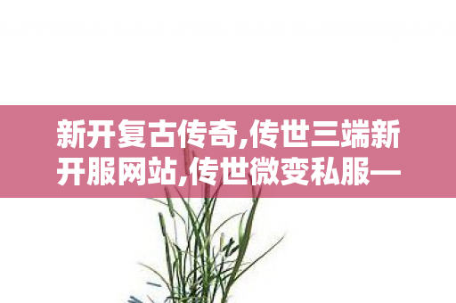 新开复古传奇,传世三端新开服网站,传世微变私服——游戏体验的独特魅力