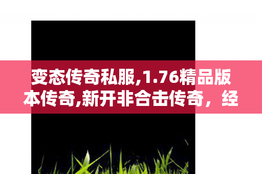变态传奇私服,1.76精品版本传奇,新开非合击传奇，经典重现，热血再燃！