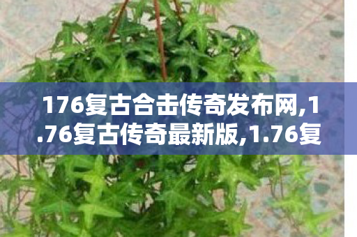176复古合击传奇发布网,1.76复古传奇最新版,1.76复古网通，经典传奇游戏体验的重生之路