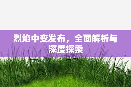 烈焰中变发布，全面解析与深度探索