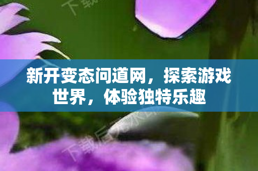 新开变态问道网，探索游戏世界，体验独特乐趣