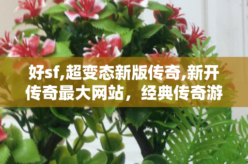 好sf,超变态新版传奇,新开传奇最大网站，经典传奇游戏体验全新升级