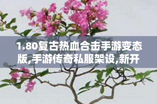 1.80复古热血合击手游变态版,手游传奇私服架设,新开传奇网通私服——全面解析与详细指南