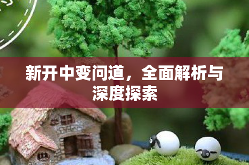 新开中变问道，全面解析与深度探索