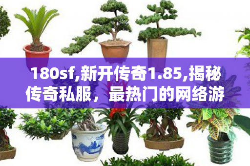 180sf,新开传奇1.85,揭秘传奇私服，最热门的网络游戏体验