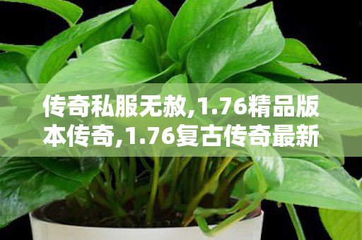 传奇私服无赦,1.76精品版本传奇,1.76复古传奇最新版，经典重现，传奇再续