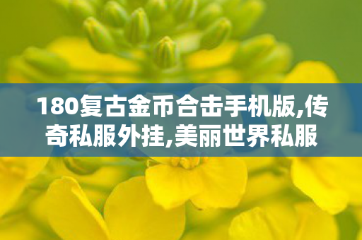 180复古金币合击手机版,传奇私服外挂,美丽世界私服，探索、体验与共享的虚拟世界之旅