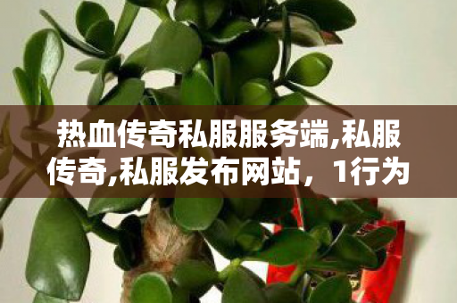 热血传奇私服服务端,私服传奇,私服发布网站，1行为与1责任分析