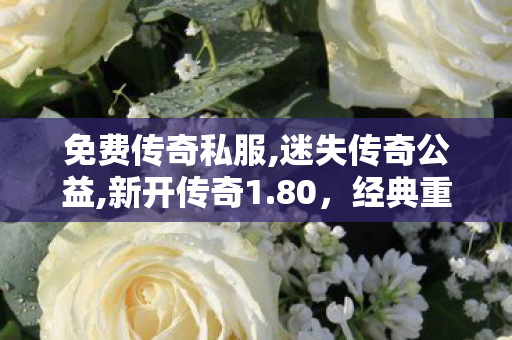 免费传奇私服,迷失传奇公益,新开传奇1.80，经典重现，热血传奇再启程