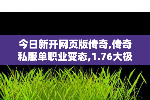 今日新开网页版传奇,传奇私服单职业变态,1.76大极品，经典传奇游戏的核心魅力与独特玩法