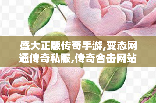 盛大正版传奇手游,变态网通传奇私服,传奇合击网站，经典游戏重燃热血传奇之旅