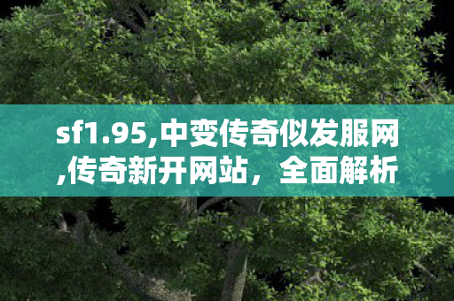 sf1.95,中变传奇似发服网,传奇新开网站，全面解析与详细指南