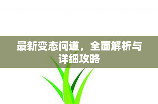 最新变态问道，全面解析与详细攻略