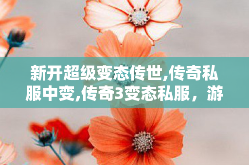 新开超级变态传世,传奇私服中变,传奇3变态私服，游戏体验的全新探索