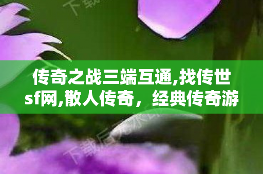 传奇之战三端互通,找传世sf网,散人传奇，经典传奇游戏深度解析与攻略指南