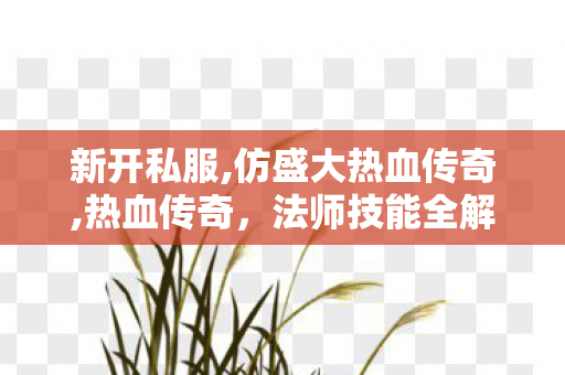 新开私服,仿盛大热血传奇,热血传奇，法师技能全解析
