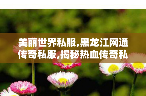 美丽世界私服,黑龙江网通传奇私服,揭秘热血传奇私服网站，1与1问题