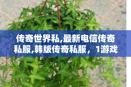 传奇世界私,最新电信传奇私服,韩版传奇私服，1游戏运营的深度解析