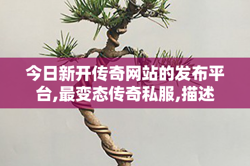今日新开传奇网站的发布平台,最变态传奇私服,描述