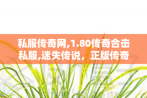 私服传奇网,1.80传奇合击私服,迷失传说，正版传奇手游的探索之旅