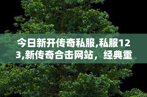 今日新开传奇私服,私服123,新传奇合击网站，经典重现，热血传奇再启程