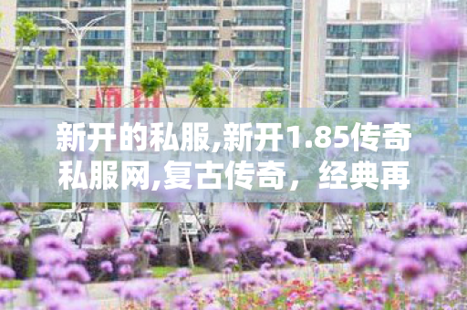 新开的私服,新开1.85传奇私服网,复古传奇，经典再现，重温热血岁月