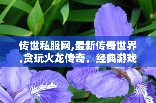 传世私服网,最新传奇世界,贪玩火龙传奇，经典游戏背后的故事与魅力