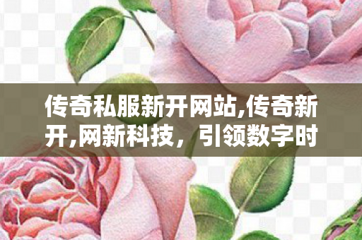 传奇私服新开网站,传奇新开,网新科技，引领数字时代，塑造未来科技新篇章