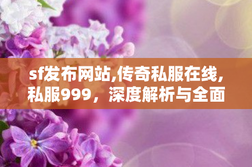 sf发布网站,传奇私服在线,私服999，深度解析与全面指南