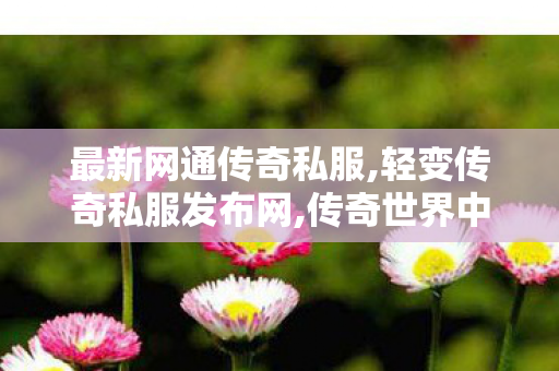 最新网通传奇私服,轻变传奇私服发布网,传奇世界中变手游，探索未知的冒险之旅