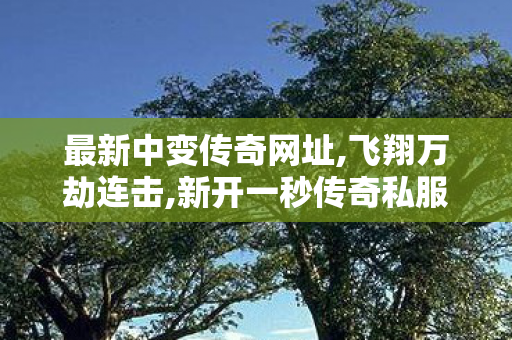 最新中变传奇网址,飞翔万劫连击,新开一秒传奇私服——全面解析与详细介绍
