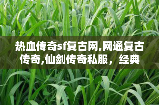 热血传奇sf复古网,网通复古传奇,仙剑传奇私服，经典游戏体验的深度探索与全面解析