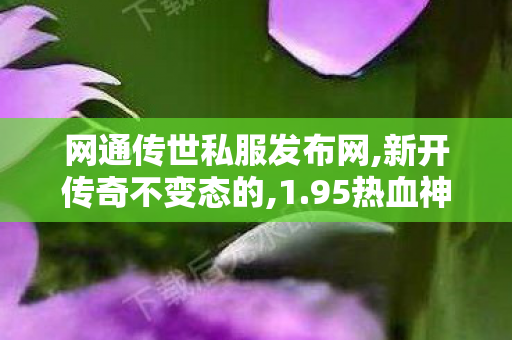 网通传世私服发布网,新开传奇不变态的,1.95热血神龙，自创神兵合击版——打造你的专属战斗神器