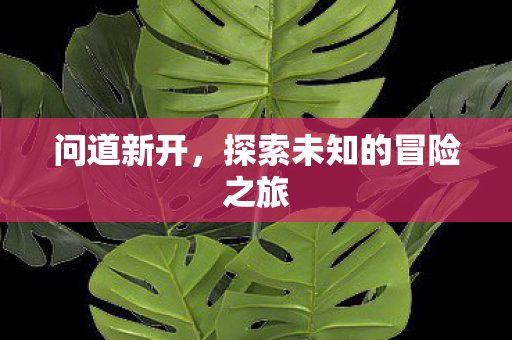 问道新开，探索未知的冒险之旅