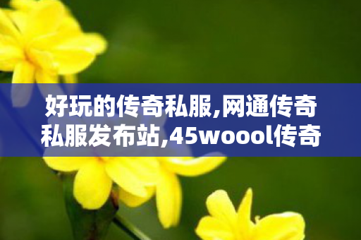 好玩的传奇私服,网通传奇私服发布站,45woool传奇世界，经典手游的移动之旅